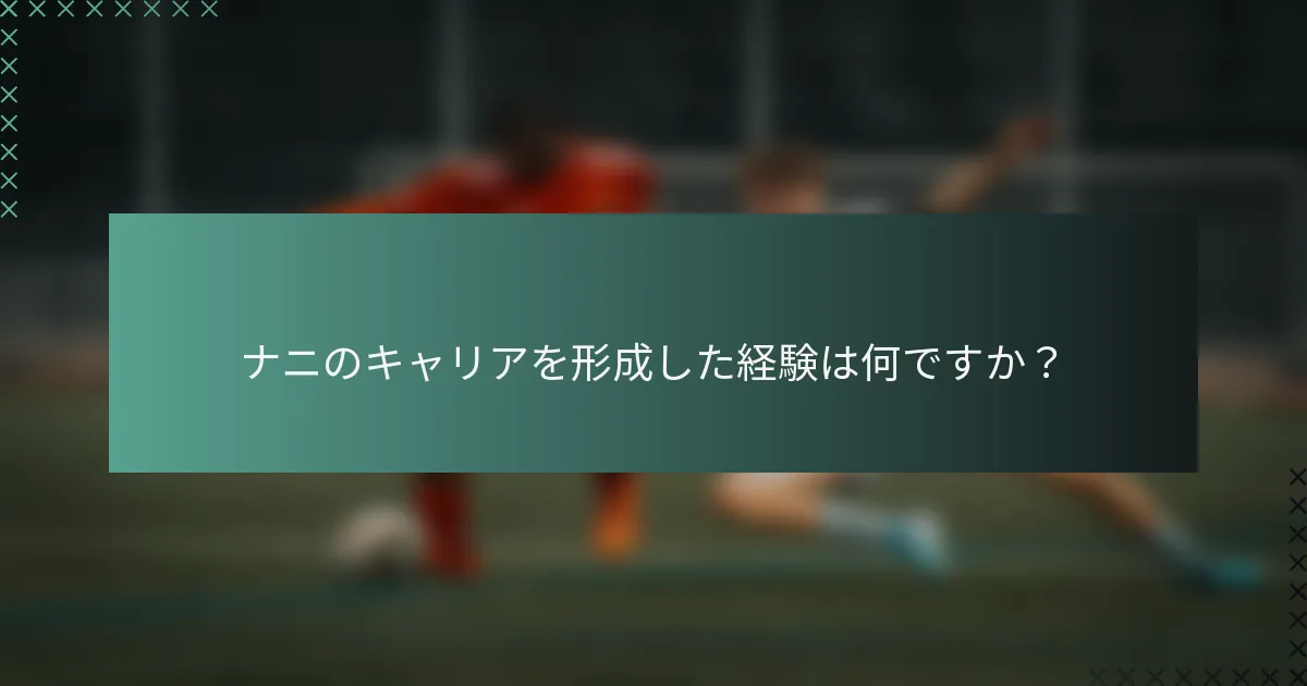 ナニのキャリアを形成した経験は何ですか？